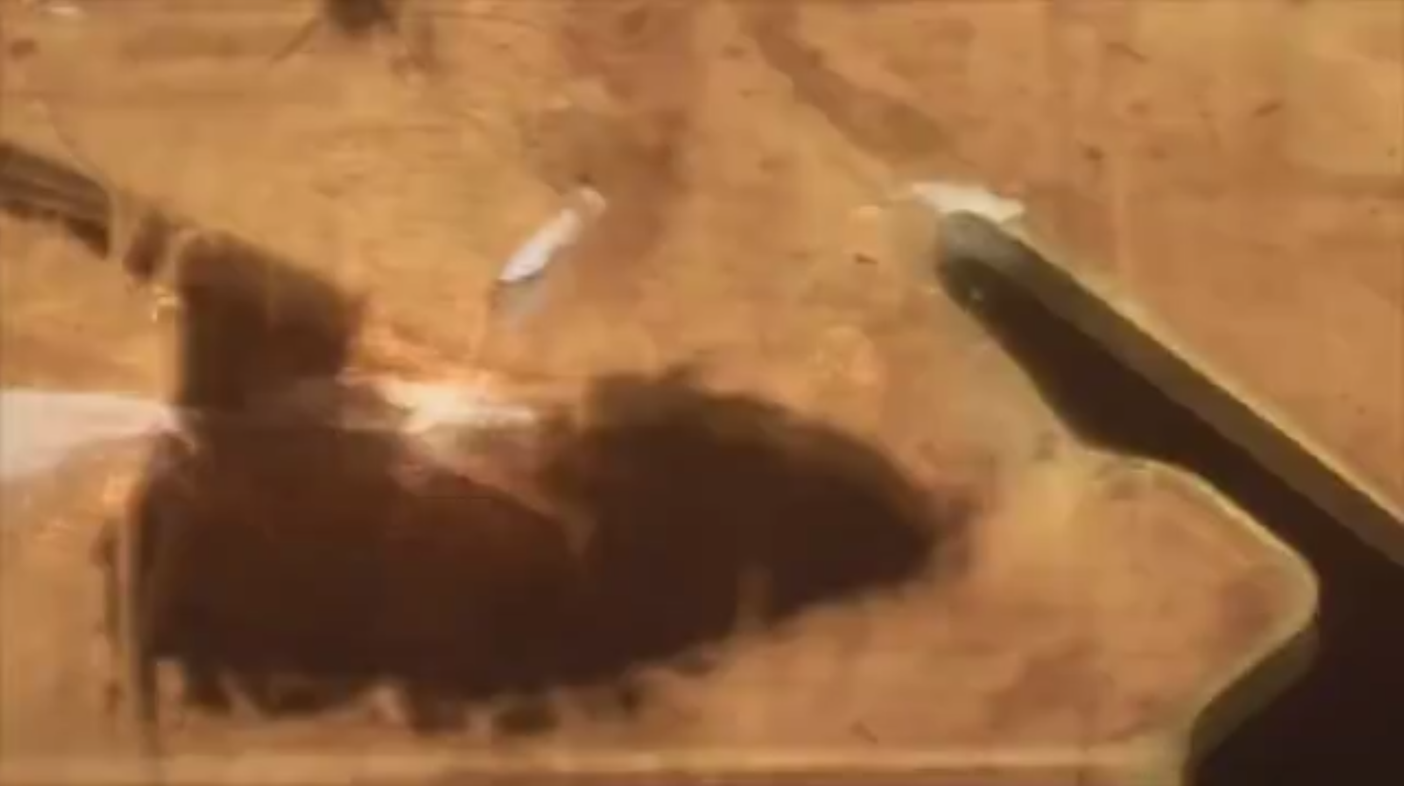 Screen Shot 2016-08-19 at 16.24.54